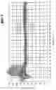 Fig. 03 - Dispersion which contains at least 2 types of particles