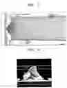 Fig. 03 - Field emission device, display adopting the same and method of manufacturing the same