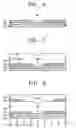 Fig. 05 - Field emission device, display adopting the same and method of manufacturing the same