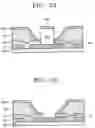 Fig. 12 - Field emission device, display adopting the same and method of manufacturing the same