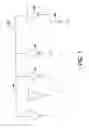 Fig. 08 - Systems and methods for biasing high fill-factor sensor arrays and the like