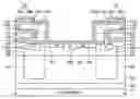 Fig. 01 - Photodiode and method of manufacturing the same