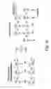 Fig. 09 - Method for forming an opening for an interconnect structure in a dielectric layer having a photosensitive material