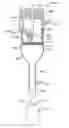Fig. 01 - Power feeding method and apparatus