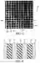 Fig. 04 - Process for plating a piezoelectric composite