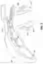 Fig. 07 - Helmet lighting system