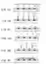 Fig. 06 - Color filter and process for producing the same