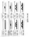 Fig. 05 - Integrated optical light sensitive active matrix liquid crystal display