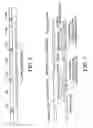 Fig. 06 - Integrated optical light sensitive active matrix liquid crystal display