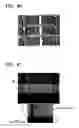 Fig. 45 - Reflection type liquid crystal display device and manufacturing method thereof
