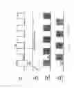 Fig. 05 - Rapid switching slit scan image capture system
