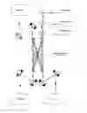 Fig. 01 - Cavity enhanced optical detector