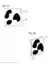 Fig. 09 - Reflective multi-image surface