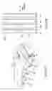 Fig. 03 - Multi-format thinfilm head and associated methods