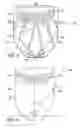 Fig. 07 - Diffraction grating