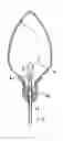 Fig. 01 - Christmas light bulb structure