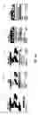 Fig. 20 - Wireless extended proximity networks: systems, methods and program products