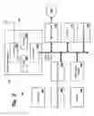 Fig. 04 - Autonomic load balancing in wireless local area networks