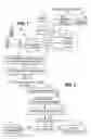Fig. 02 - Initiation of packet-based services in a public mobile communication system