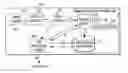 Fig. 01 - Control of terminal applications in a network environment