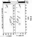 Fig. 06 - Method and apparatus for controlling the output of a gas discharge MOPA laser system