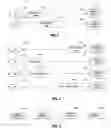 Fig. 02 - Extending orthogonal frequency division multiplexed wireless local area networks using direct sequence spread spectrum/complementary code keying