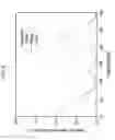 Fig. 04 - Apparatus for compensating polarization mode dispersion