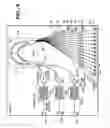 Fig. 06 - Optical receiver photonic integrated circuit (RxPIC) system