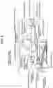 Fig. 03 - Image forming apparatus