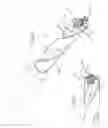 Fig. 08 - Cutting insert with helical geometry and holder therefor