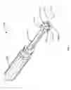 Fig. 09 - Screw and screw driver