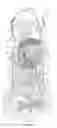 Fig. 02 - BWR inspection manipulator