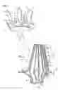 Fig. 02 - Cooled rotor blade with vibration damping device