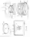 Fig. 02 - Device for deodorizing a sink drain and method therefor