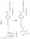 Fig. 02 - Fluorinated carbohydrate conjugates