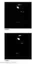 Fig. 09 - Use of particulate contrast agents in diagnostic imaging for studying physiological paramaters