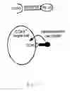 Fig. 15 - Method of treating allergen induced airway disease