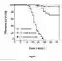 Fig. 02 - Uses of IL-12 in hematopoiesis