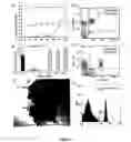 Fig. 11 - Uses of IL-12 in hematopoiesis