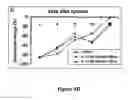 Fig. 18 - Uses of IL-12 in hematopoiesis