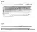 Fig. 06 - Methods and compositions for the treatment of neurological disease