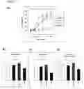 Fig. 03 - Adipocytes and uses thereof
