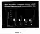 Fig. 10 - Adipocytes and uses thereof