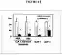 Fig. 15 - Adipocytes and uses thereof