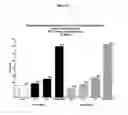 Fig. 07 - Butyrylcholinesterase variants that alter the activity of chemotherapeutic agents