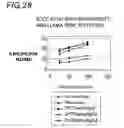 Fig. 33 - Binding constructs and methods for use thereof