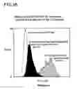 Fig. 41 - Binding constructs and methods for use thereof