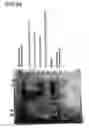 Fig. 50 - Binding constructs and methods for use thereof
