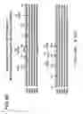 Fig. 71 - Binding constructs and methods for use thereof