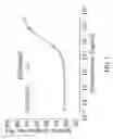 Fig. 02 - Bispecific antibodies